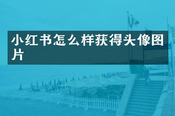 小红书怎么样获得头像图片