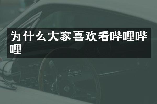为什么大家喜欢看哔哩哔哩