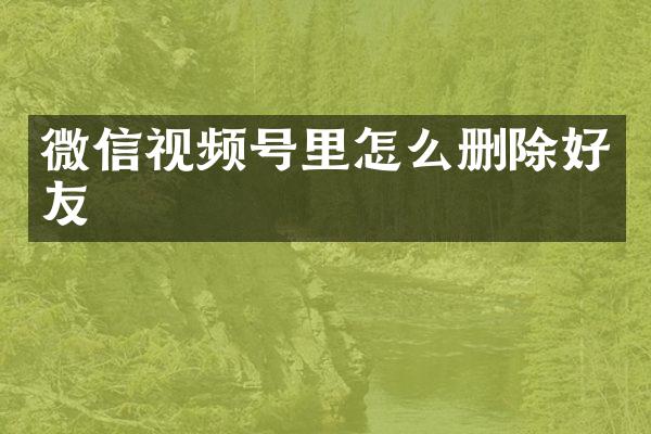 微信视频号里怎么删除好友