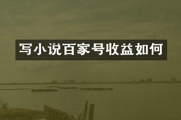 写小说百家号收益如何