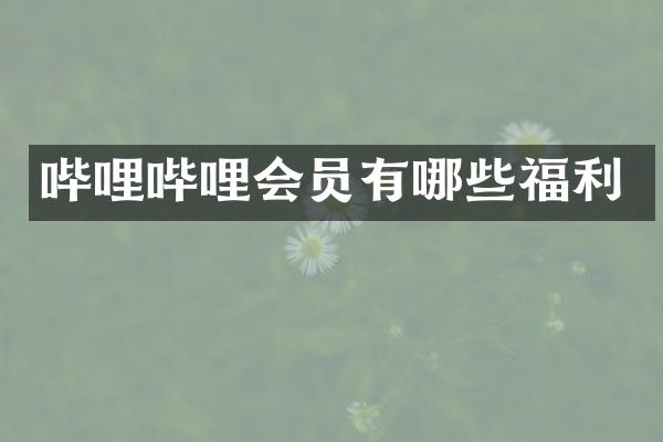 哔哩哔哩会员有哪些福利