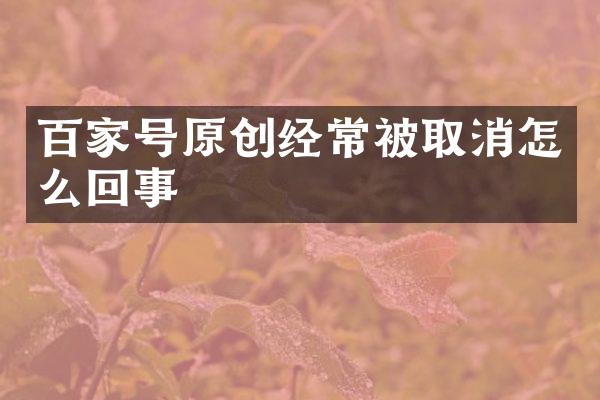 百家号原创经常被取消怎么回事