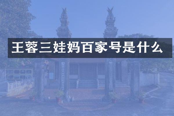 王蓉三娃妈百家号是什么