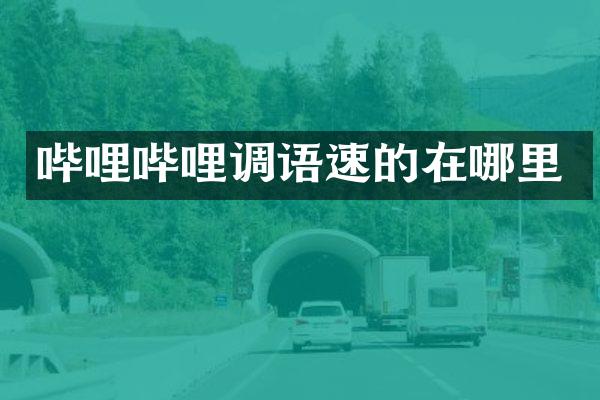 哔哩哔哩调语速的在哪里