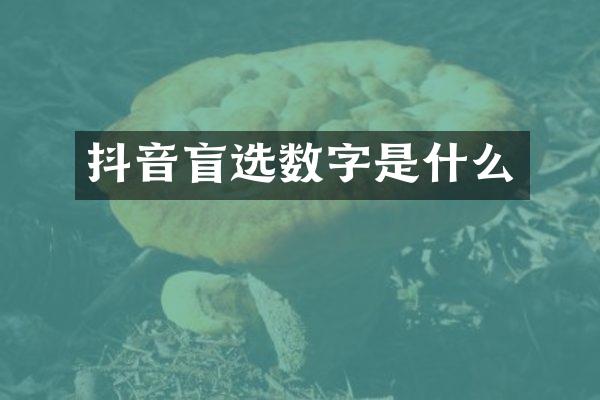 抖音盲选数字是什么