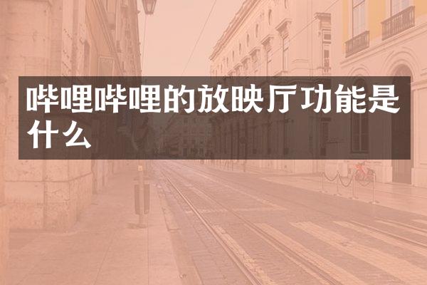 哔哩哔哩的放映厅功能是什么