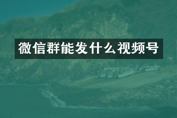 微信群能发什么视频号