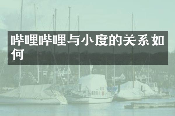 哔哩哔哩与小度的关系如何