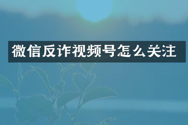 微信反诈视频号怎么关注
