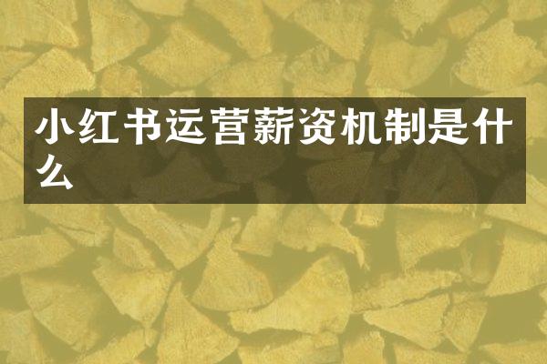 小红书运营薪资机制是什么
