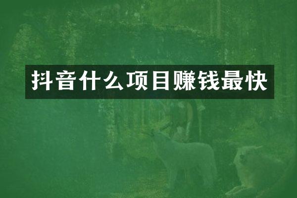 抖音什么项目赚钱最快
