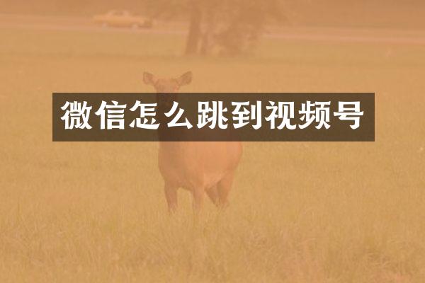 微信怎么跳到视频号