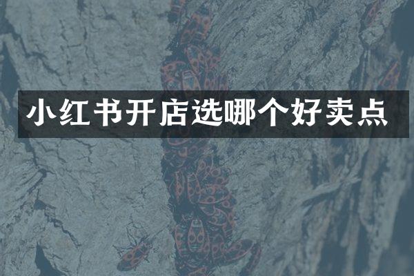 小红书开店选哪个好卖点