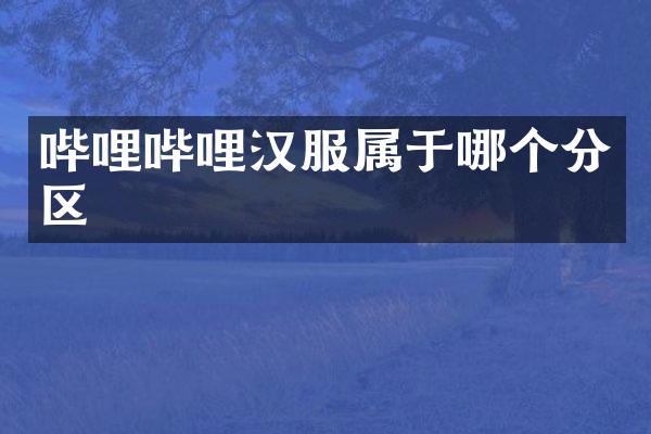 哔哩哔哩汉服属于哪个分区