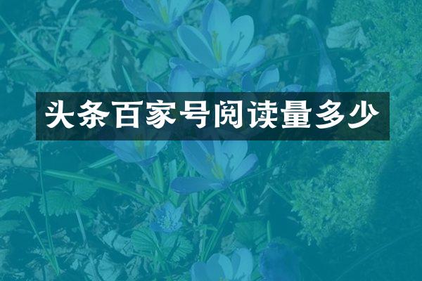 头条百家号阅读量多少