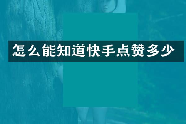 怎么能知道快手点赞多少