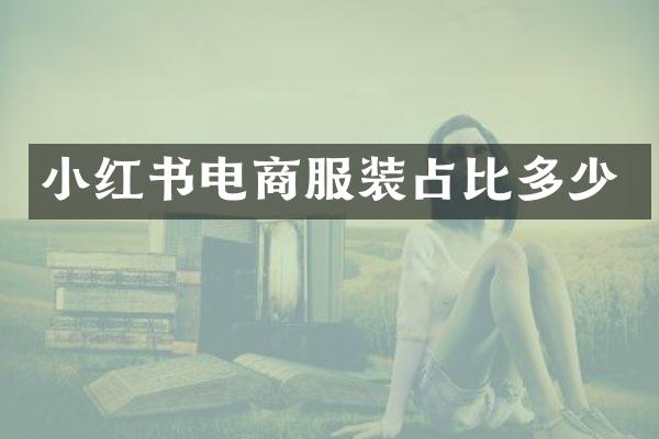 小红书电商服装占比多少