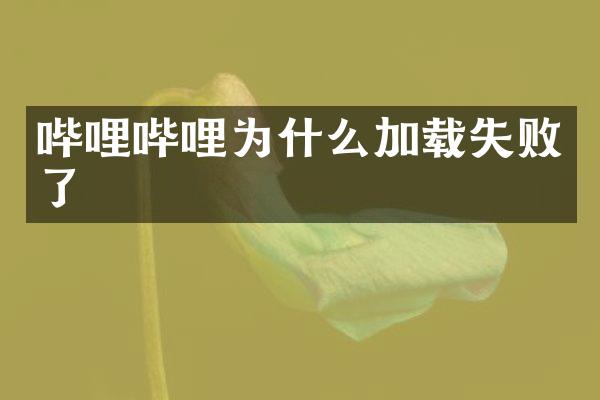 哔哩哔哩为什么加载失败了