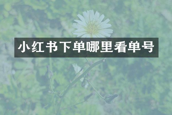 小红书下单哪里看单号