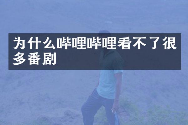 为什么哔哩哔哩看不了很多番剧