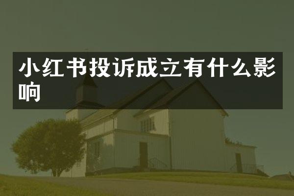 小红书投诉成立有什么影响