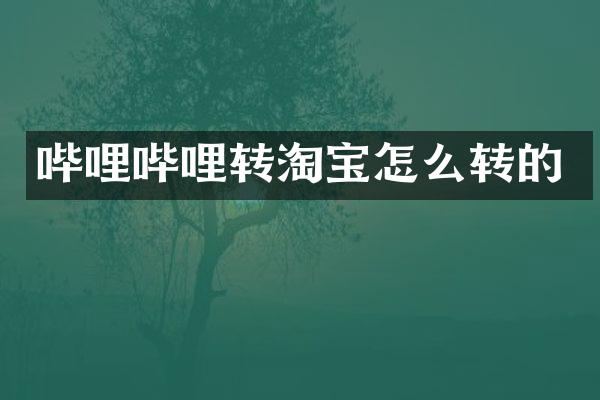 哔哩哔哩转淘宝怎么转的
