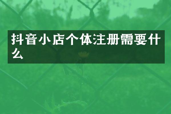 抖音小店个体注册需要什么