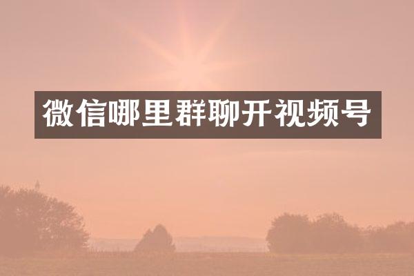 微信哪里群聊开视频号
