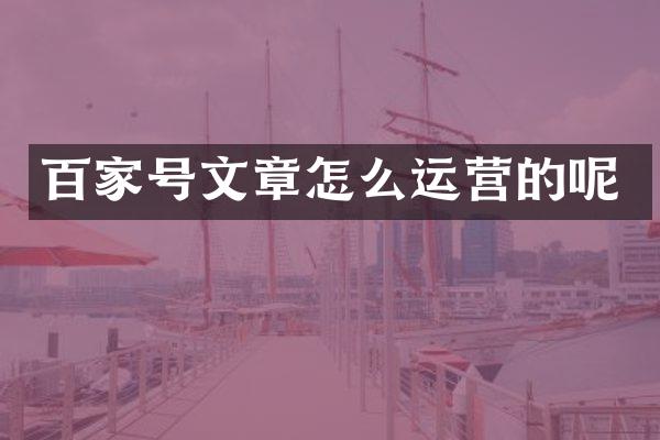 百家号文章怎么运营的呢