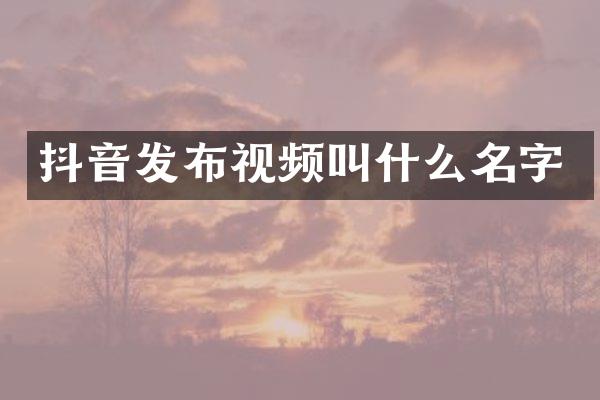 抖音发布视频叫什么名字