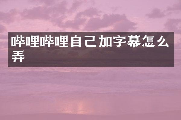 哔哩哔哩自己加字幕怎么弄