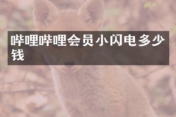 哔哩哔哩会员小闪电多少钱