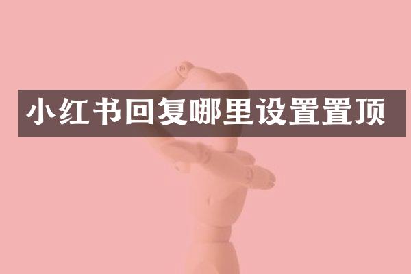 小红书回复哪里设置置顶