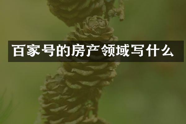 百家号的房产领域写什么
