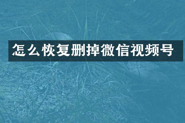 怎么恢复删掉微信视频号