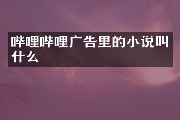 哔哩哔哩广告里的小说叫什么