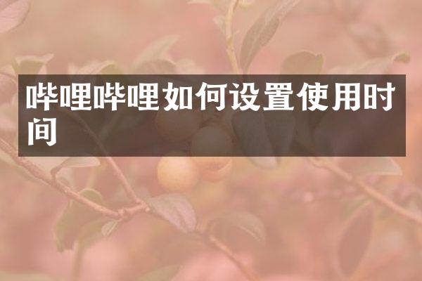 哔哩哔哩如何设置使用时间
