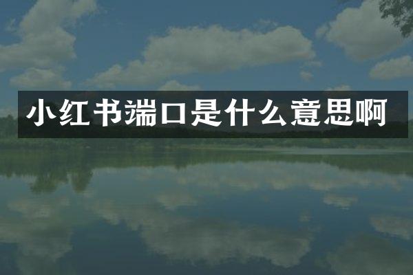 小红书端口是什么意思啊