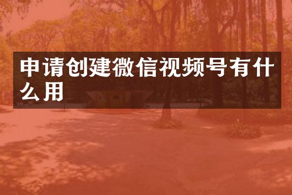 申请创建微信视频号有什么用