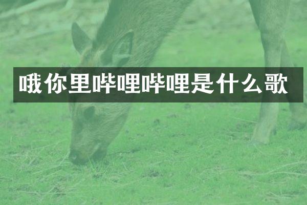 哦你里哔哩哔哩是什么歌