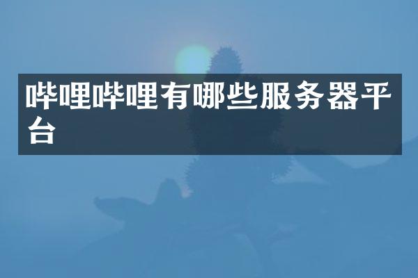 哔哩哔哩有哪些服务器平台