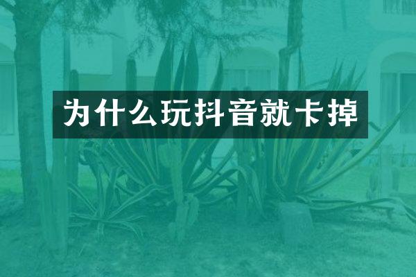 为什么玩抖音就卡掉