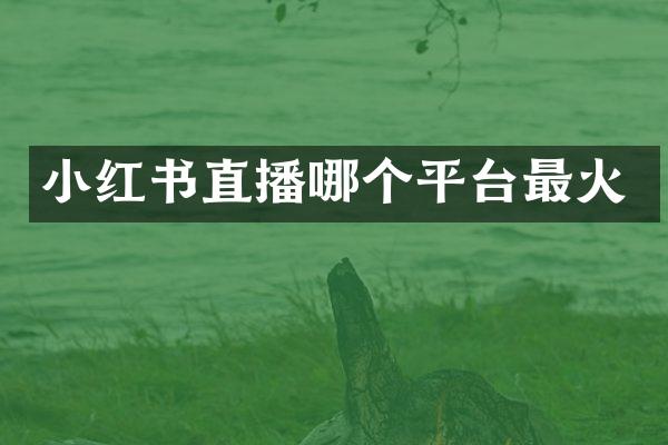 小红书直播哪个平台最火