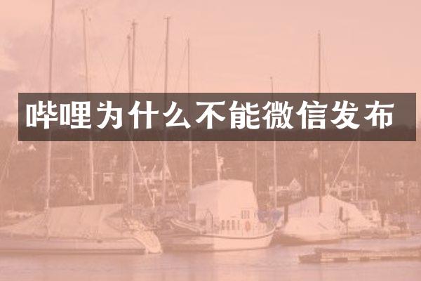 哔哩为什么不能微信发布