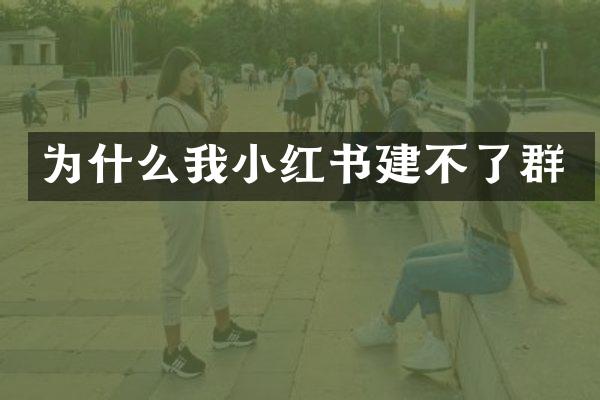 为什么我小红书建不了群