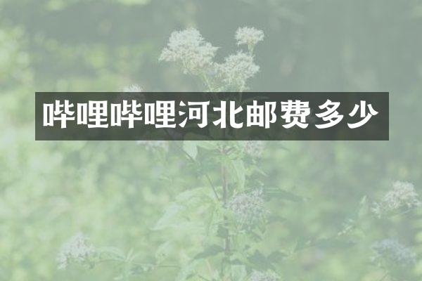 哔哩哔哩河北邮费多少