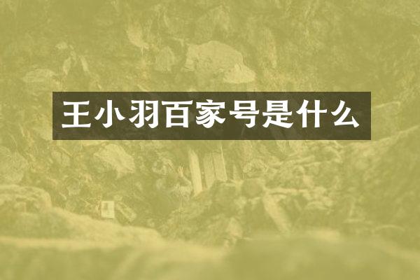 王小羽百家号是什么