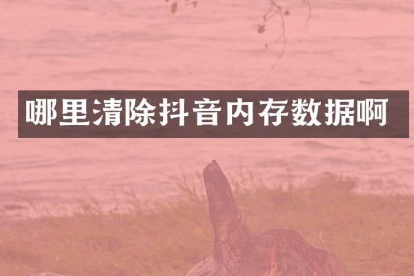 哪里清除抖音内存数据啊