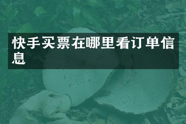 快手买票在哪里看订单信息