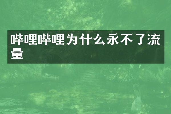 哔哩哔哩为什么永不了流量